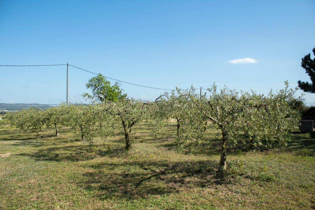 Romegosa Benestar Villa Sant Marcal Dış mekan fotoğraf