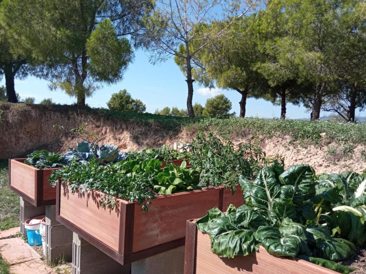 Romegosa Benestar Villa Sant Marcal Dış mekan fotoğraf