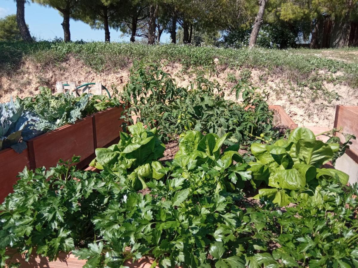 Romegosa Benestar Villa Sant Marcal Dış mekan fotoğraf